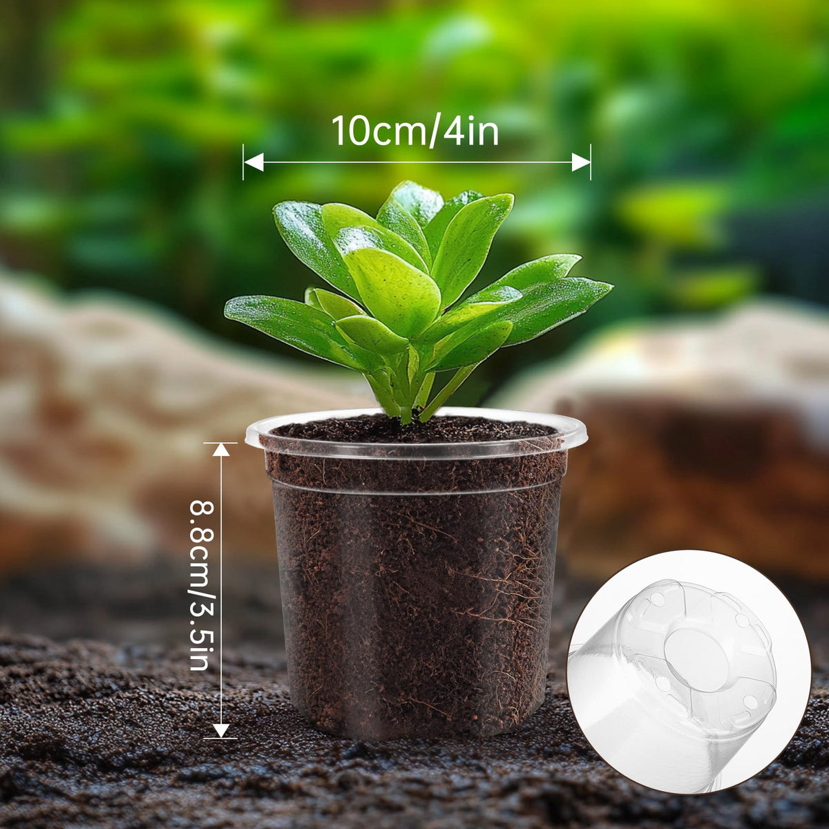 WandaQueen easy-transplant pots showing flexible walls for gentle removal.