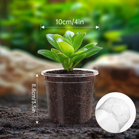 WandaQueen easy-transplant pots showing flexible walls for gentle removal.