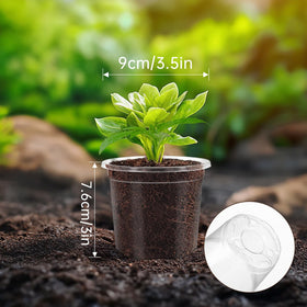 WandaQueen transplant-friendly seedling pots with flexible walls for easy removal