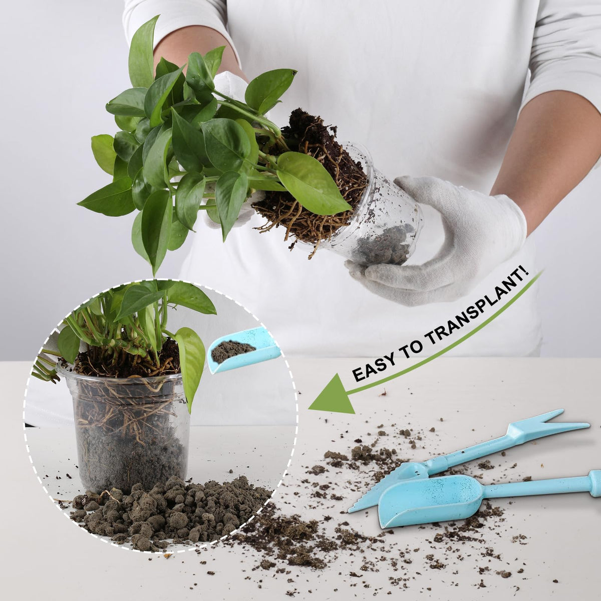 WandaQueen lightweight pots ideal for quick setup on propagation benches.