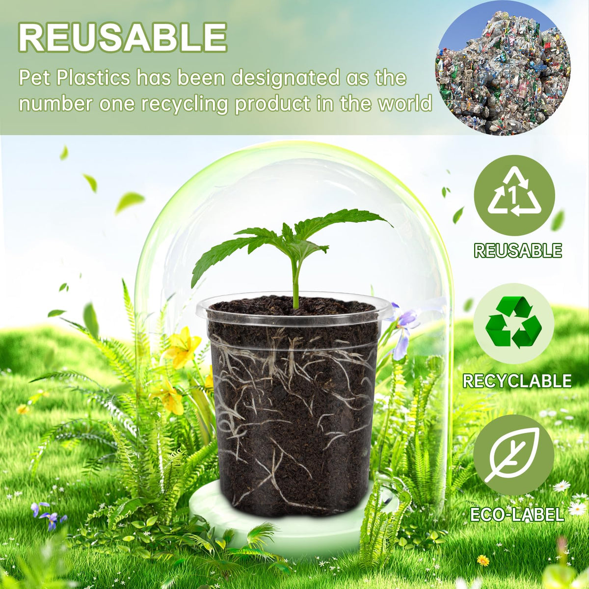 WandaQueen recyclable and reusable pots for sustainable planting