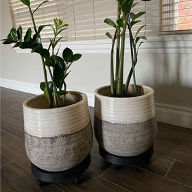 WanderingDonkey rolling plant stand 2-pack for effortless repositioning of potted plants.