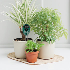 Moisture meter included helps monitor soil conditions for healthier plantings.