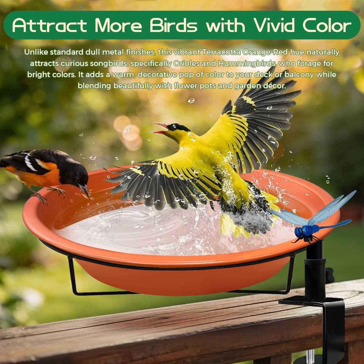 WANGIRO removable-bowl bird bath enables easy cleaning and quick refills at home.