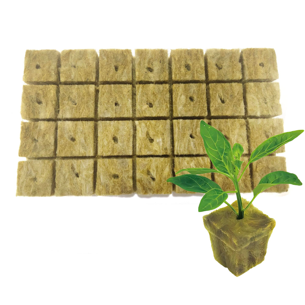 WANGSHQI Rockwool Cubes 28 pack with uniform texture for strong root growth