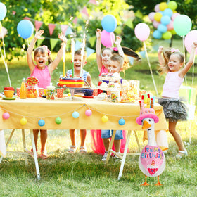 Wanocean birthday-goose decor idea for porch gatherings and photos