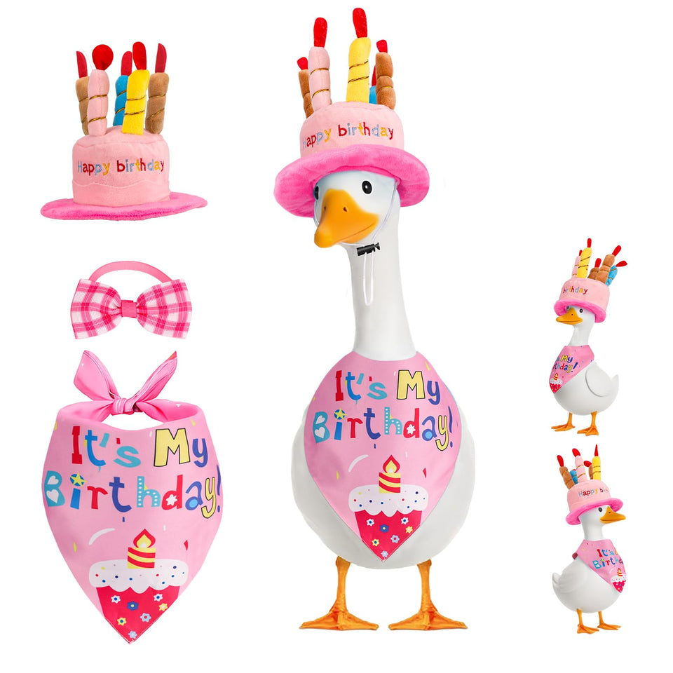 Wanocean porch goose outfit with cake hat enhances garden birthday decor