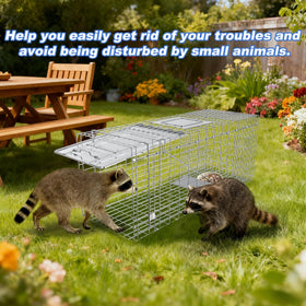 Wanqueen capture-release trap suitable for raccoon, cat, and opossum use