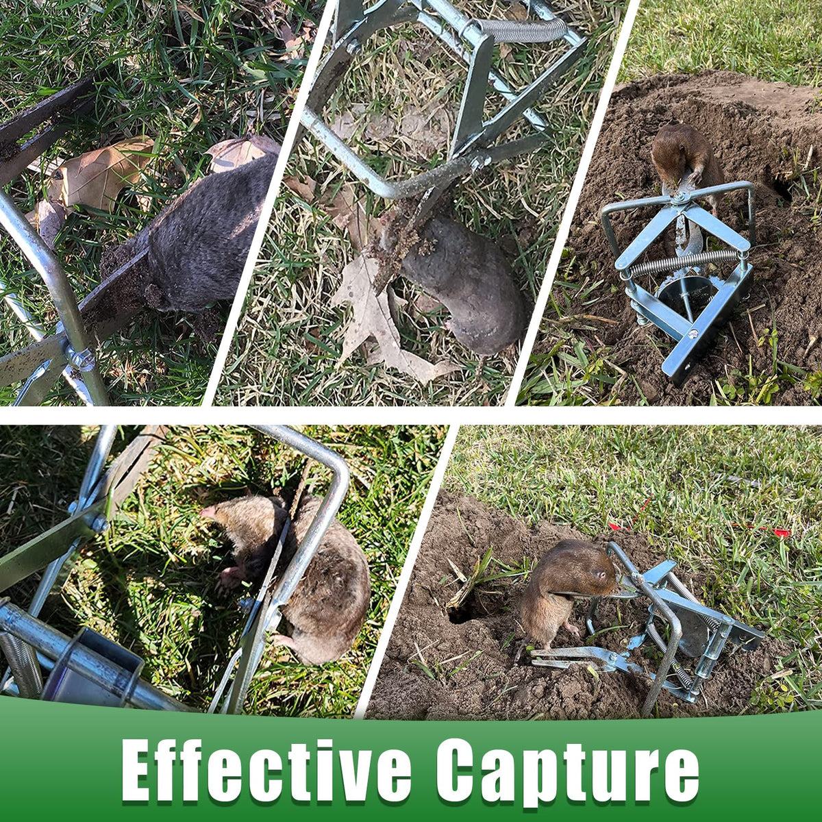 Wanqueen galvanized steel mole trap demonstrates rust-proof durability for long use