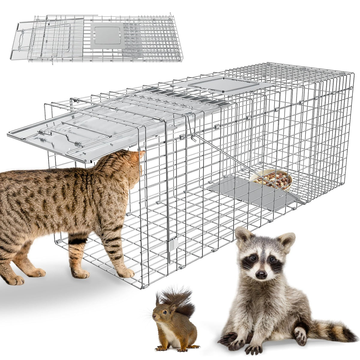 Wanqueen humane live trap with large cage interior for safe capture and release