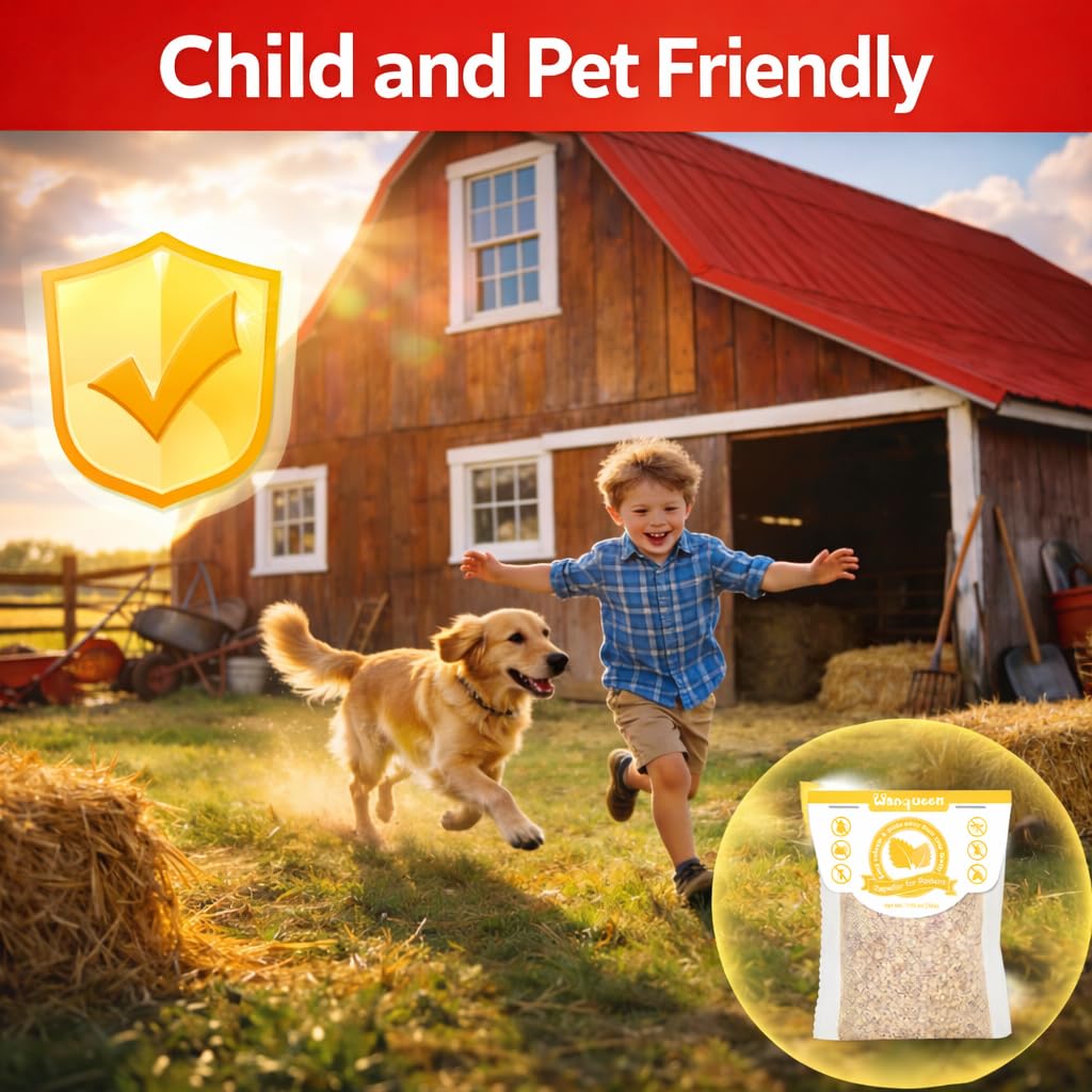 Wanqueen usage in indoor and outdoor areas like kitchen, garage, and shed