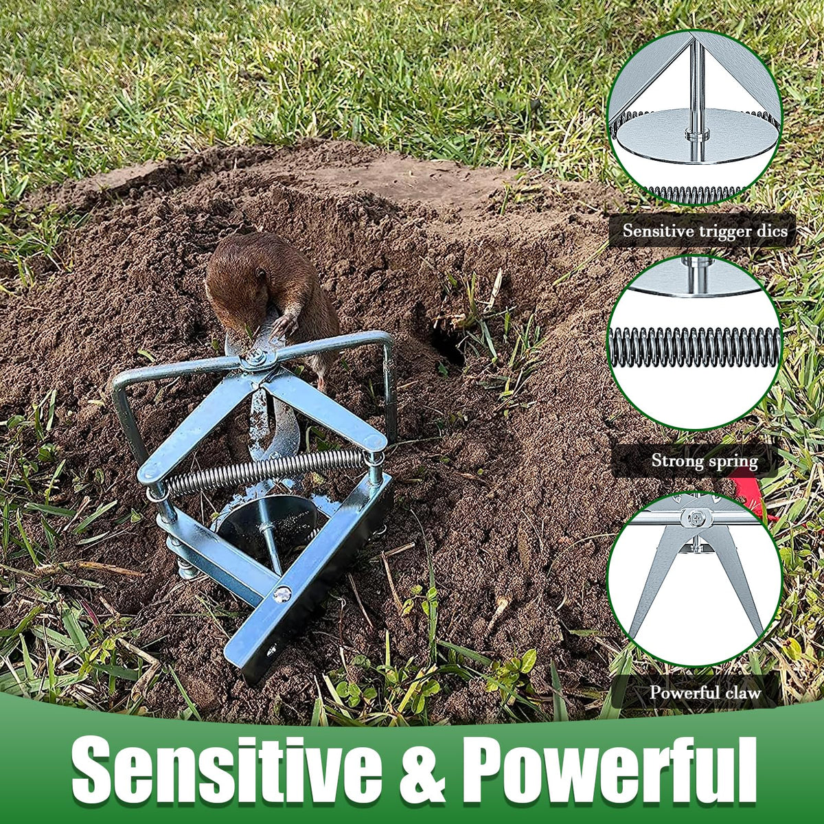 Wanqueen mole trap with fast-response design delivers immediate capture