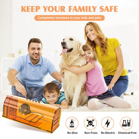 Wanqueen traps placed safely around kids and pets with simple baiting.