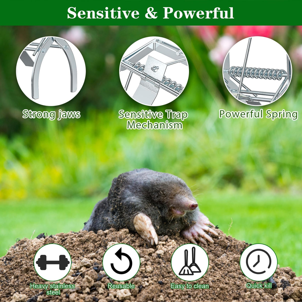 Wanqueen quick-capture mole trap image, fast engagement when moles explore.