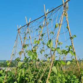 Wanseshyi natural climbing net supports cucumbers beans grapes and ornamentals