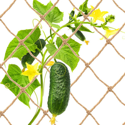 Wanseshyi jute trellis netting close-up shows braided four-strand construction for strong plant support