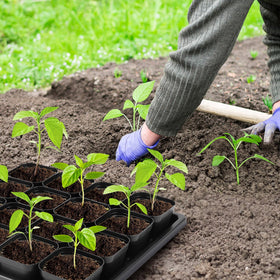 Warmfarm compact, portable gardening kit fits indoors and outdoors.