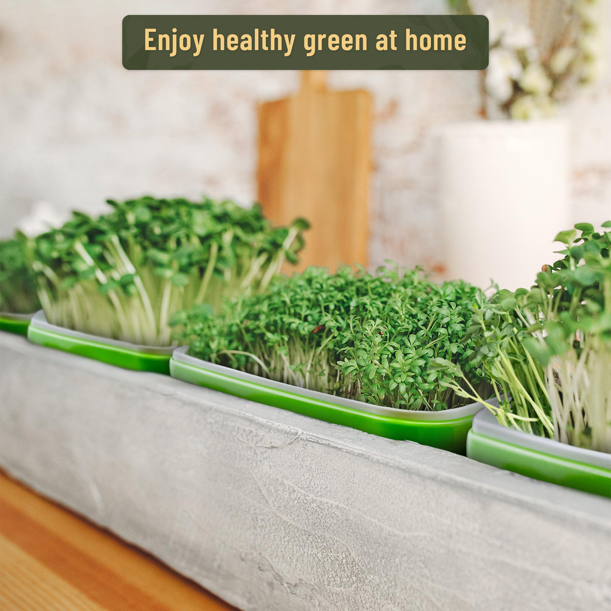 WarmFarm microgreens growing kit supports compact harvests with rich greens
