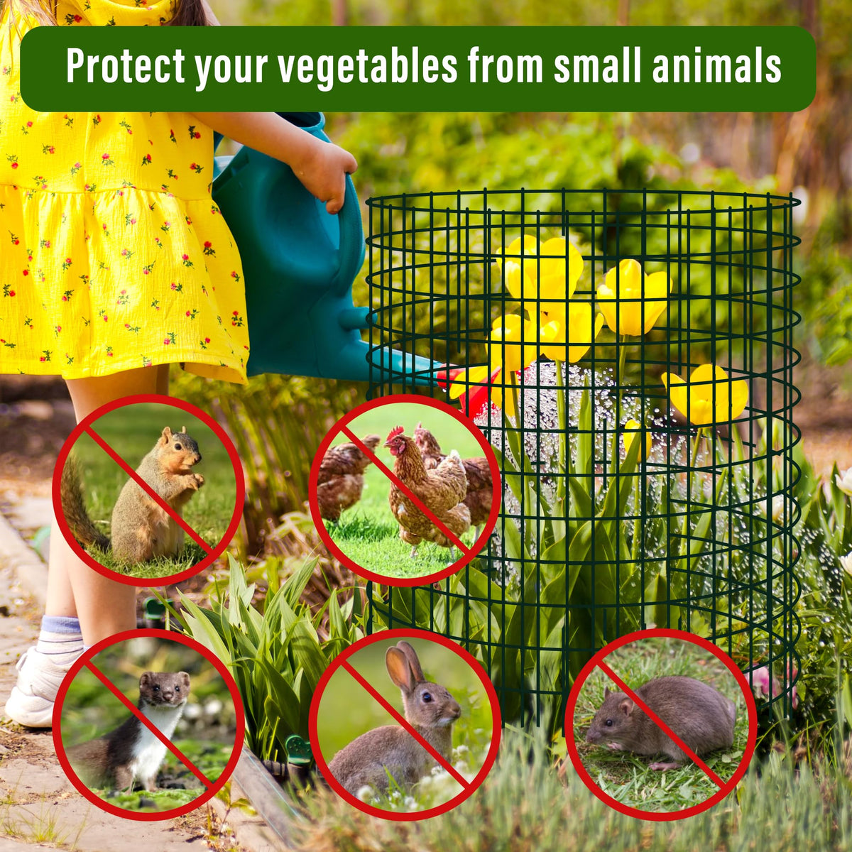 Warmfarm protect vegetables in the garden with a simple wire cage.