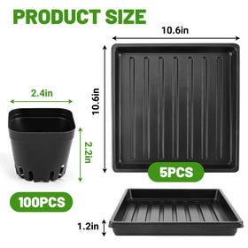 Warmfarm seedling trays holding 16 pots per tray for neat propagation.