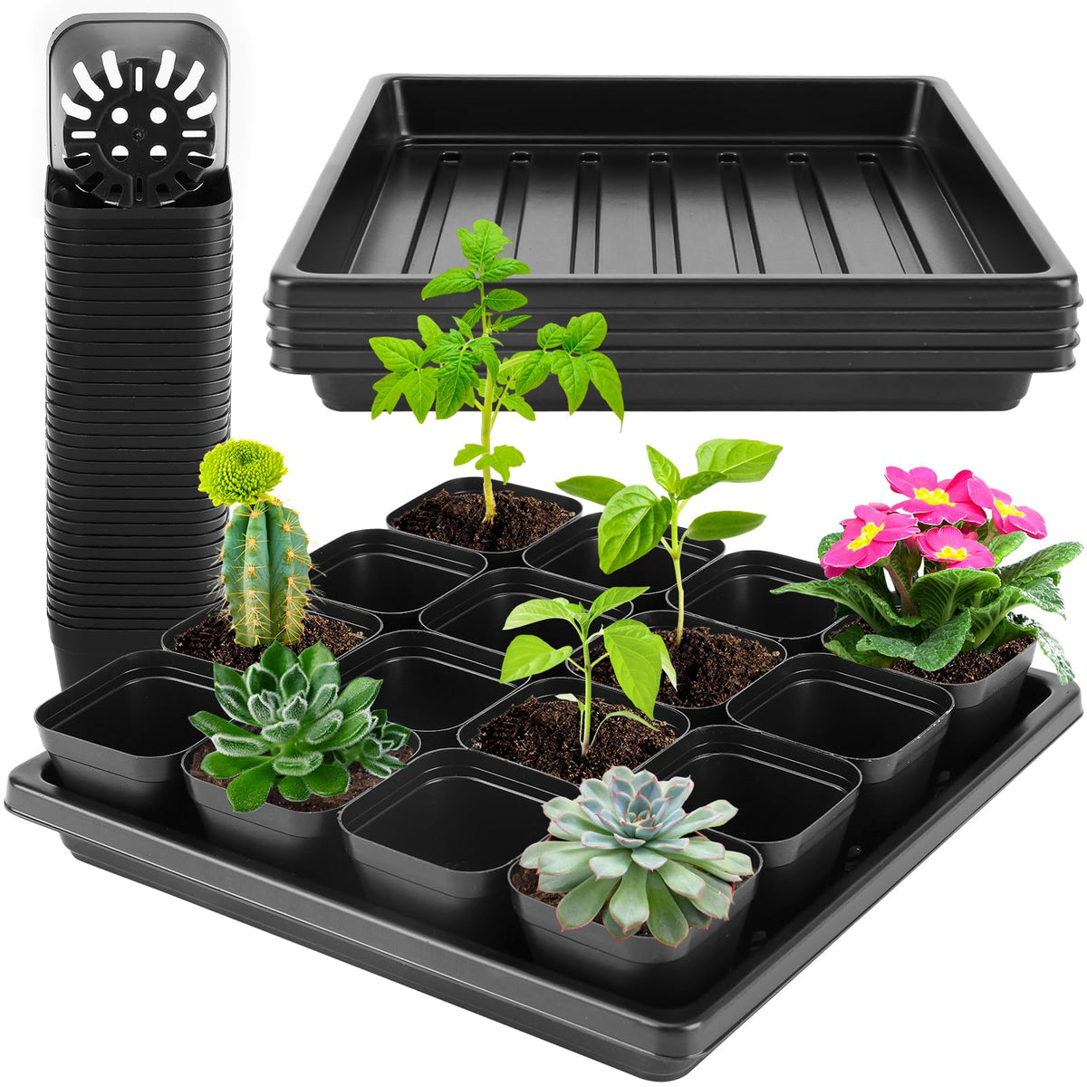 Warmfarm thick seedling trays with 16 pots in a 3-tray set for organized seedlings.