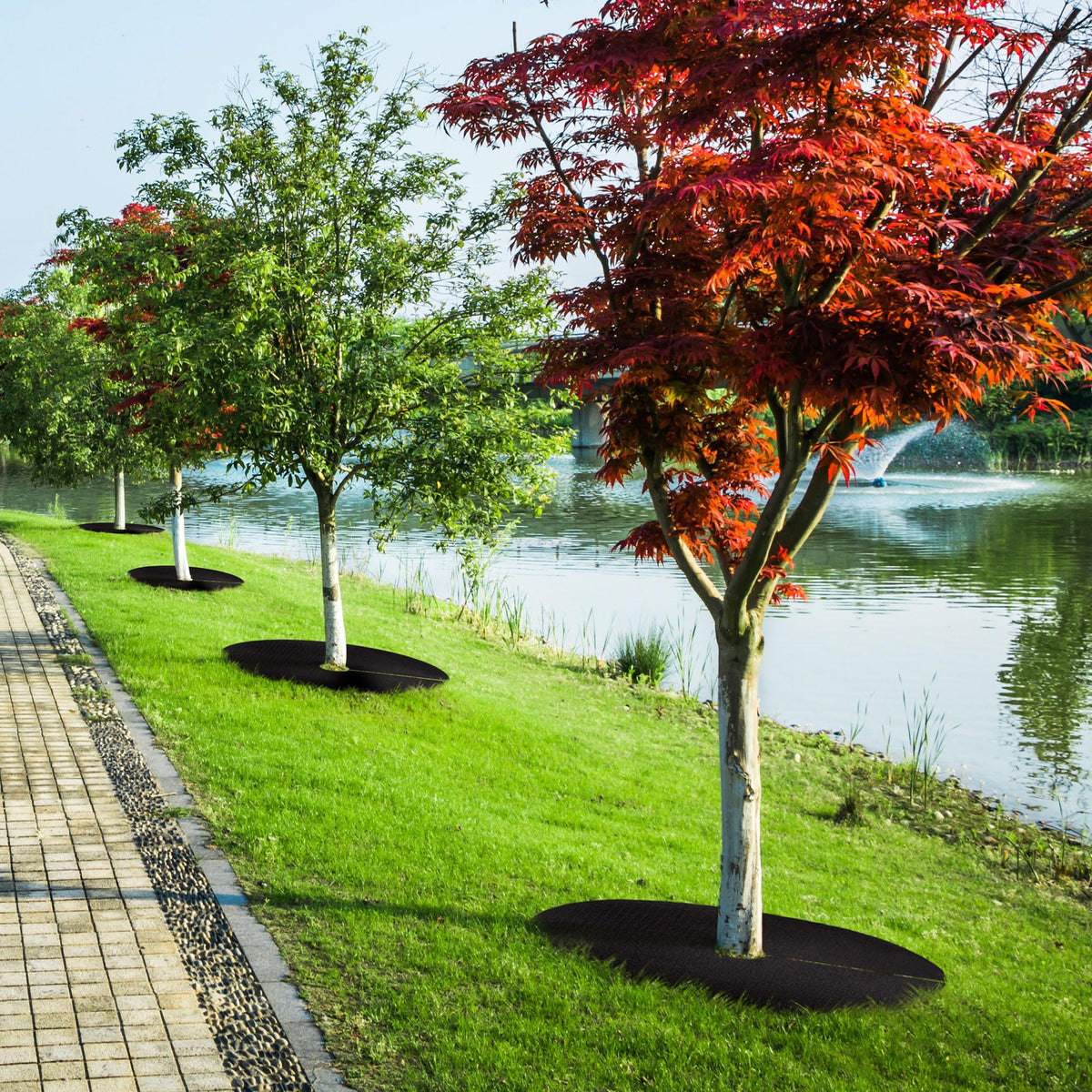 Warmfarm garden landscape featuring mulch rings for neat, natural aesthetics.