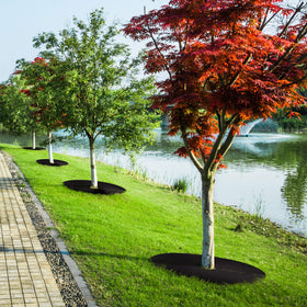 Warmfarm garden landscape featuring mulch rings for neat, natural aesthetics.