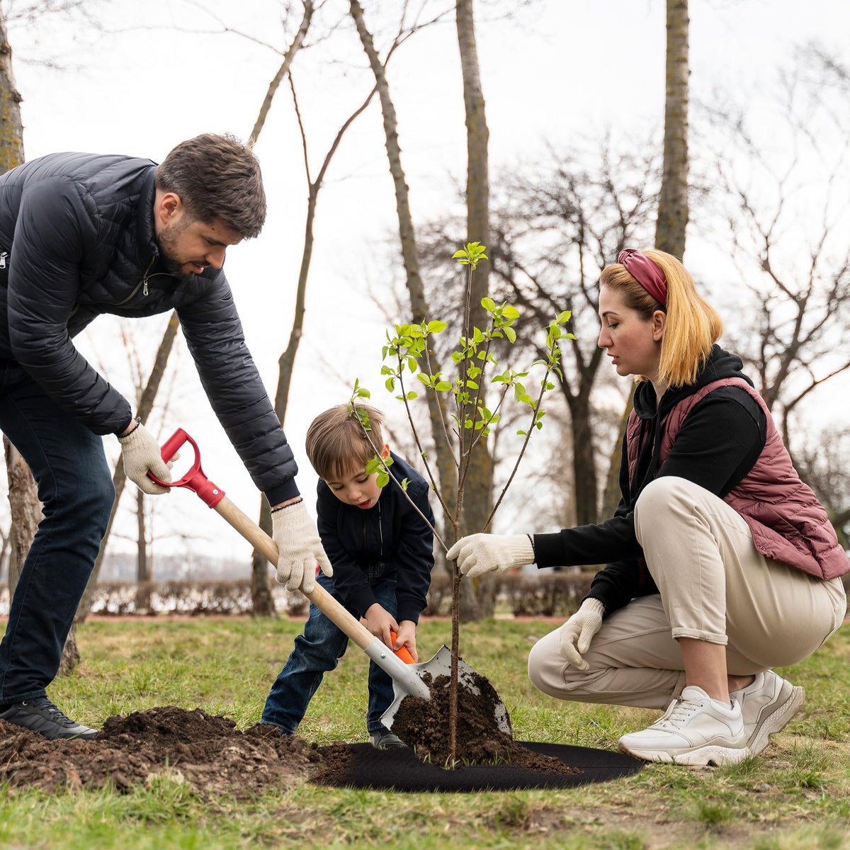 Warmfarm mulch ring demonstrates moisture retention supporting soil health.