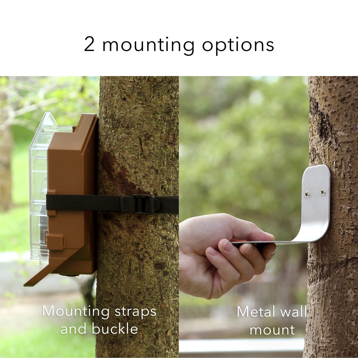Wasserstein Bird Feeder Case with 26.4 oz capacity draws birds for close-up viewing.