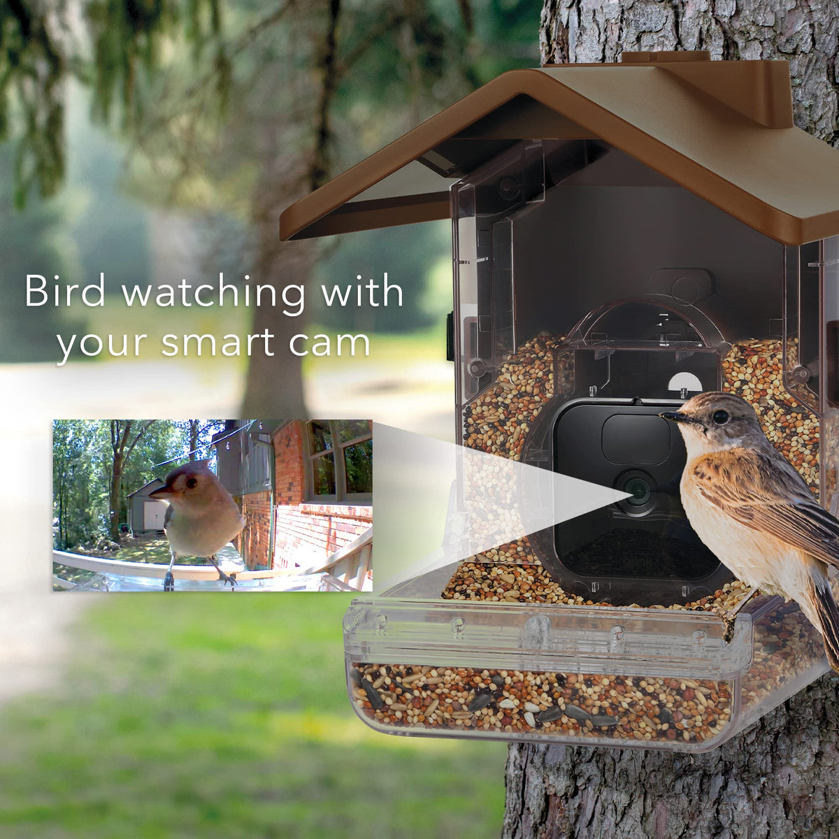 Wasserstein Bird Feeder Case mounted with strap for easy tree or pole installation.