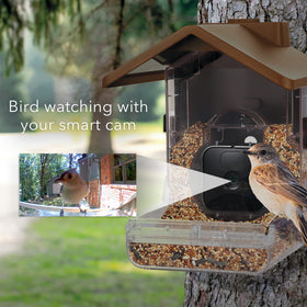 Wasserstein Bird Feeder Case mounted with strap for easy tree or pole installation.