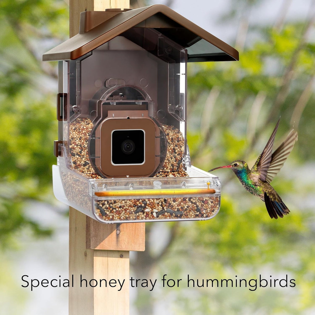 Wasserstein Bird Feeder Case solar panel-ready option supports continuous camera power.