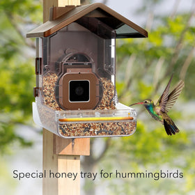 Wasserstein Bird Feeder Case solar panel-ready option supports continuous camera power.