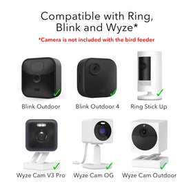 Wasserstein Bird Feeder Case on wall mount demonstrates secure placement for Blink, Wyze, or Ring cameras.