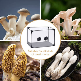 Watayo mushroom still air box arm holes enable hands-on experiments.