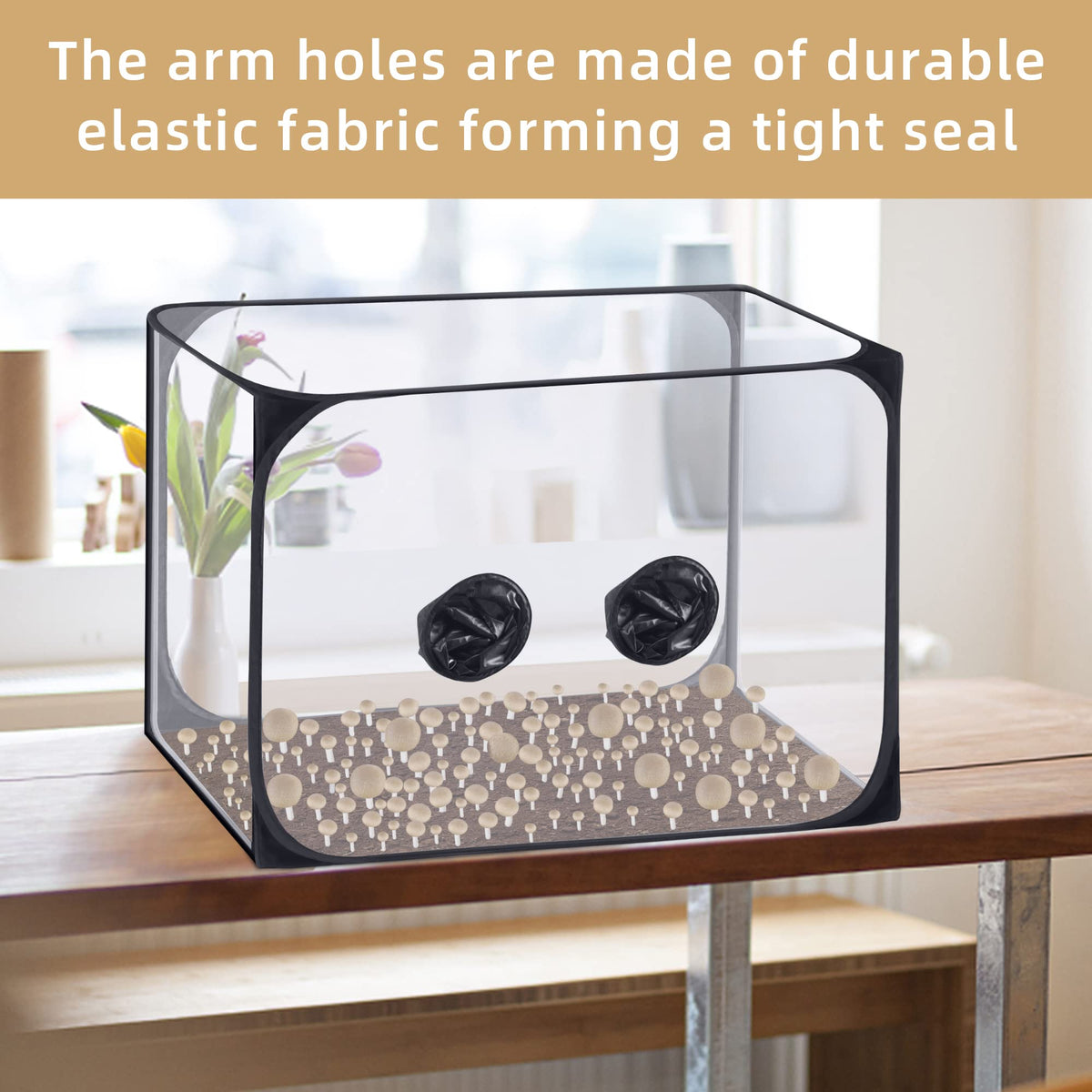 Watayo mushroom still air box folded storage shows space-saving design.