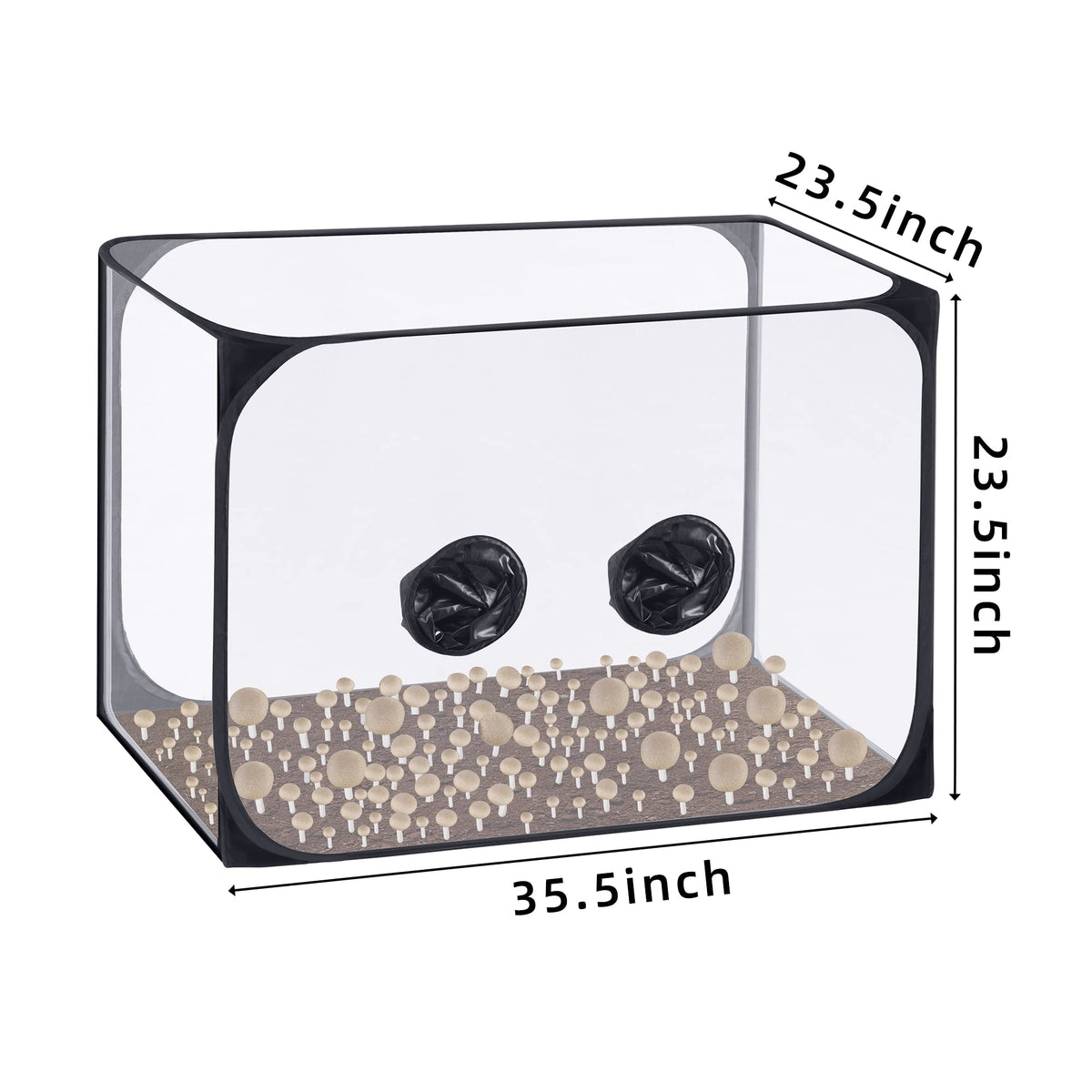 Watayo mushroom still air box pop-up assembly demonstrates quick setup without tools.
