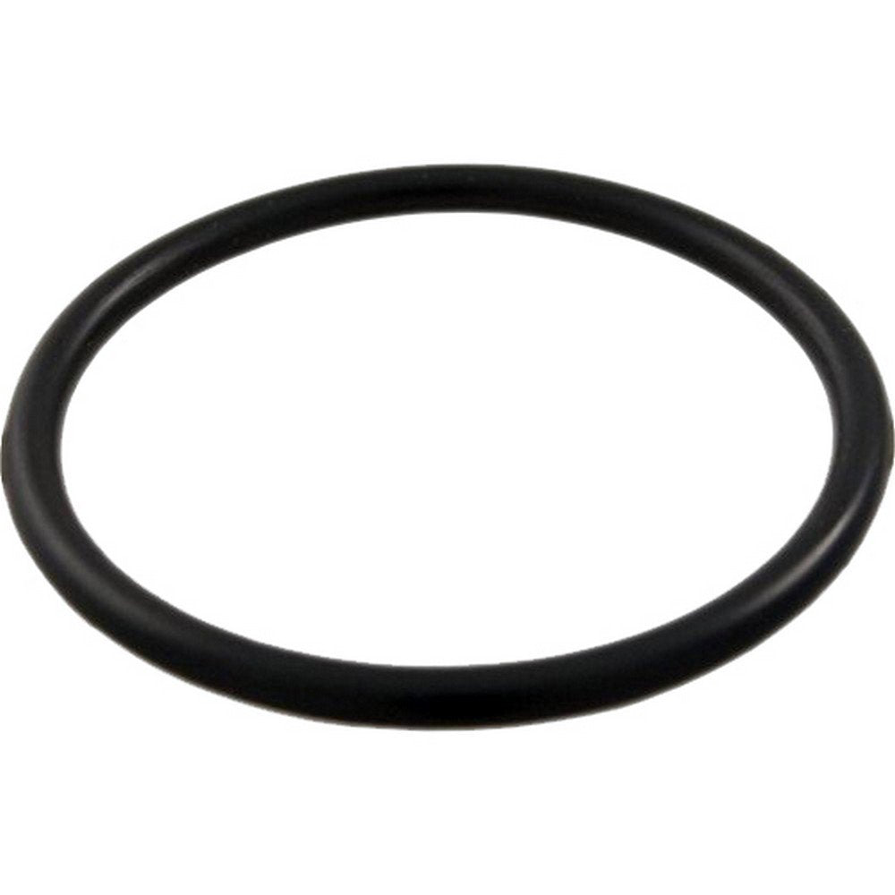 Waterway 805-0224 union tailpiece o-ring close-up shows a durable seal.