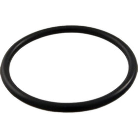 Waterway 805-0224 union tailpiece o-ring close-up shows a durable seal.