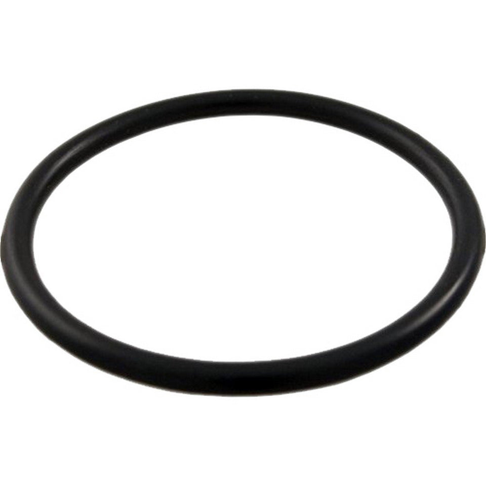 Waterway 805-0224 union tailpiece o-ring close-up shows a durable seal.