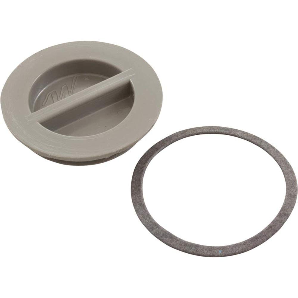 Waterway flush plug with gray gasket close-up shows precise seal for plumbing.