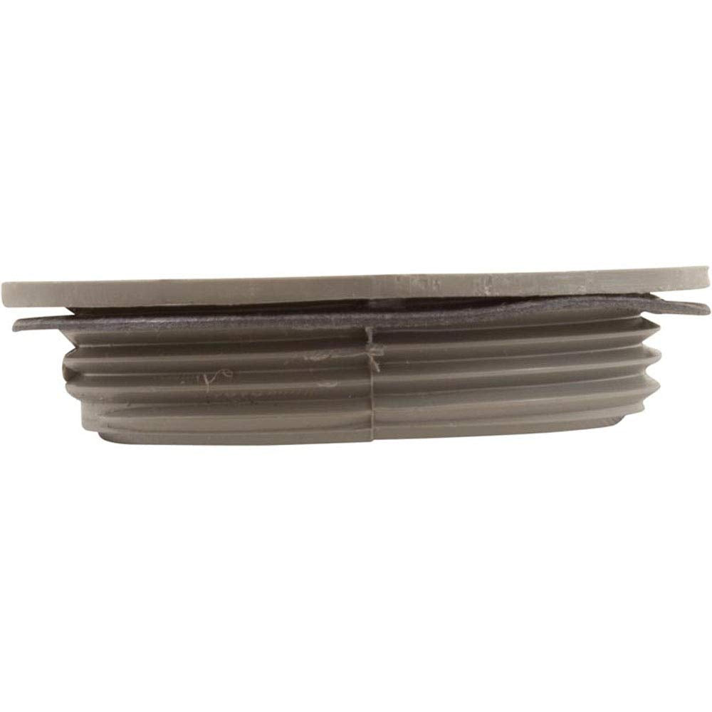 Waterway flush plug gray package view demonstrates product in context.