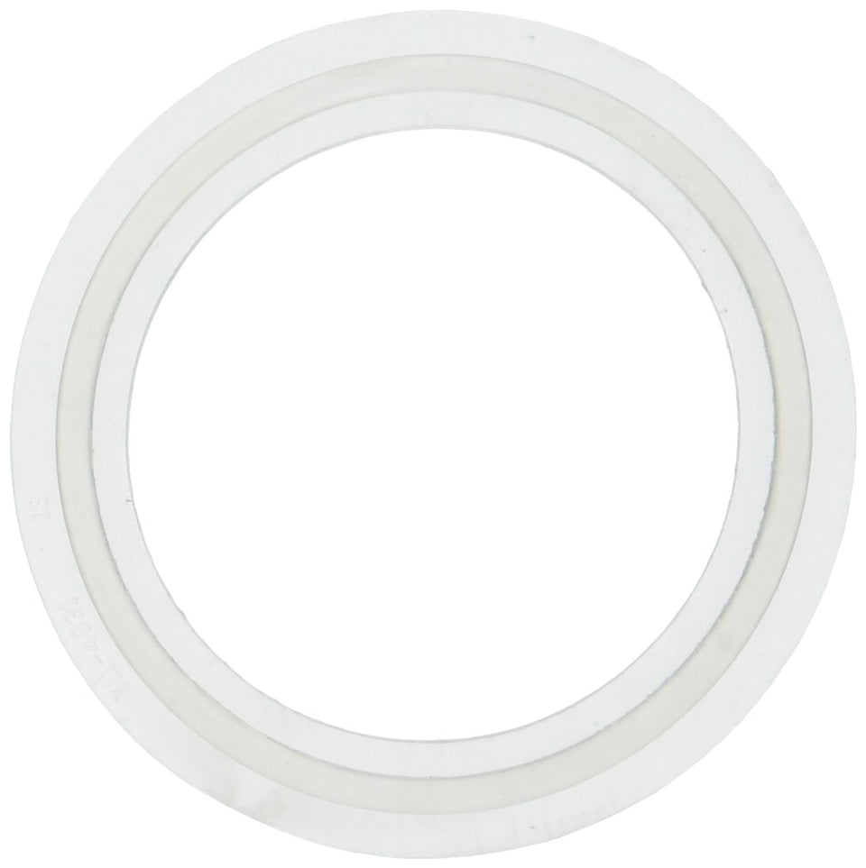 Waterway Plastics 2-inch heater O-ring for reliable spa heater sealing.