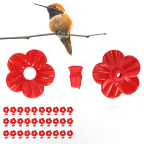 Watris Veiyi vibrant red flowers designed to attract hummingbirds.