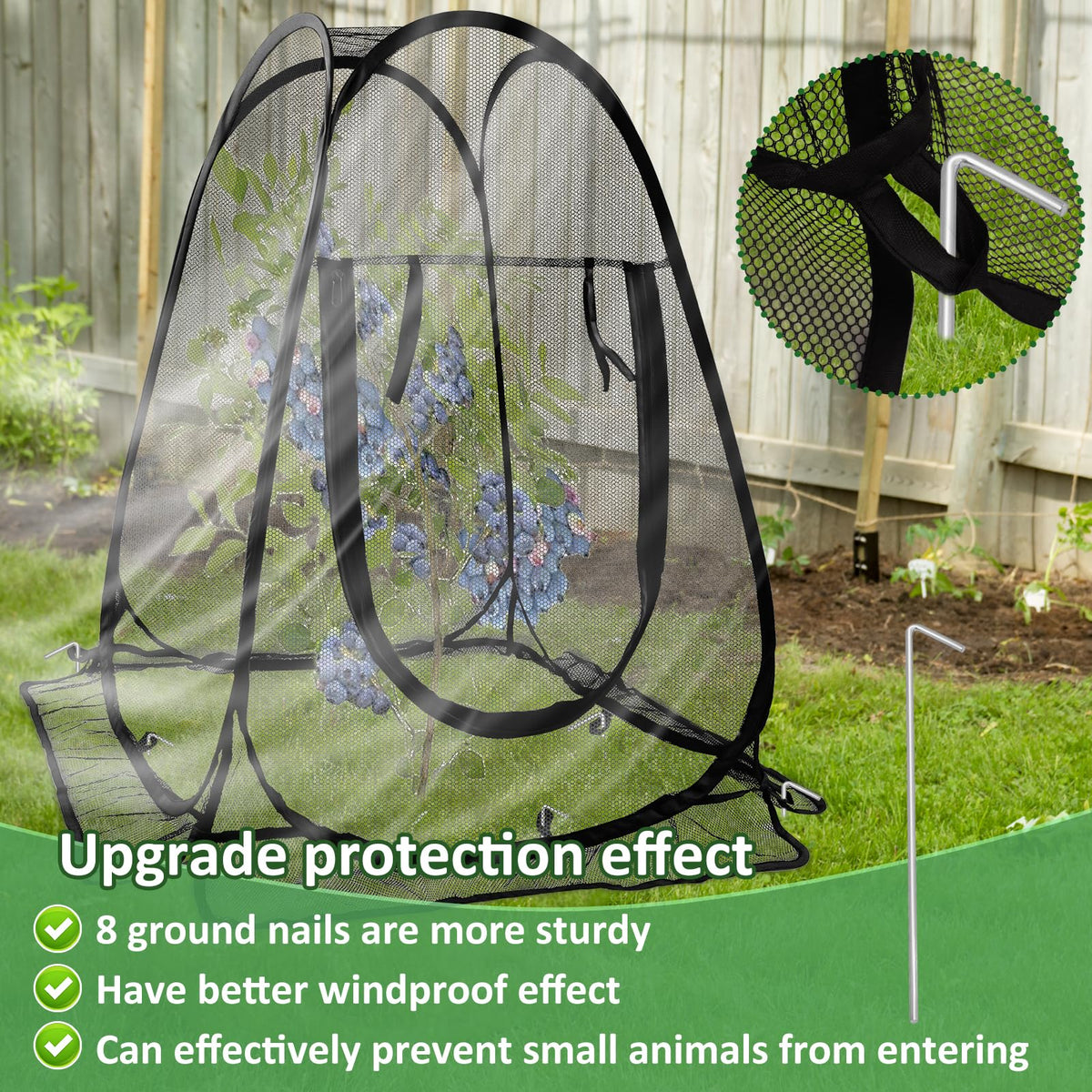 Waybas crop cage demonstrates twist-and-place setup using 8 ground stakes.