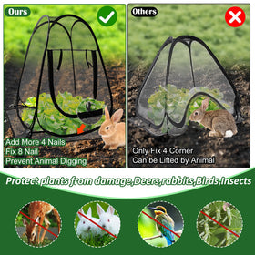 Waybas large plant tent measuring 28 by 28 by 34 inches protects a flowering bed.