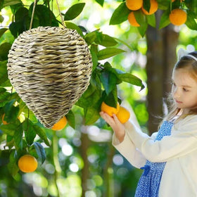 Outdoor Waybas wasp nest hanging setup for patio