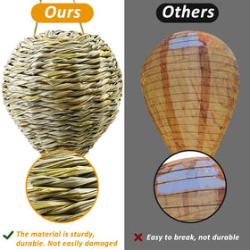 Waybas wasp nest in garden yard decor setup