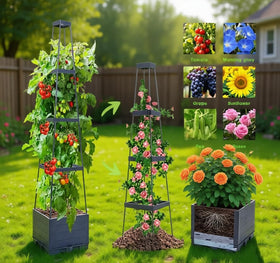 Waylinho self-watering tomato planter ensures steady moisture for thriving roots.