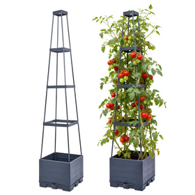 Waylinho tomato planter with trellis pack for space-saving vertical gardening and easy climbing support.